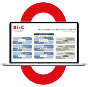 BI&C - Business Intelligence & Consolidation